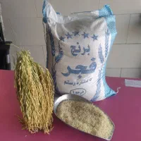 برنج محلی فجر