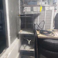 قفس پرنده.کامل