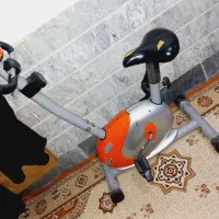دوچرخه ورزشی|تجهیزات ورزشی|قم, چهل درخت‎|دیوار