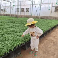 نیازمند کارگر افغانی