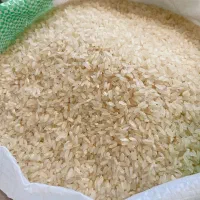 برنج کامفیروزی درجه یک