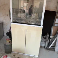 آکواریوم