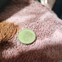 سکه قدیمی|جواهرات|رودان, |دیوار