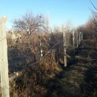 باغچه-در-ارنسا