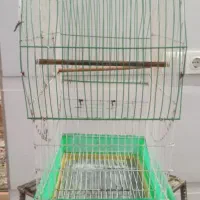 قفس پرنده