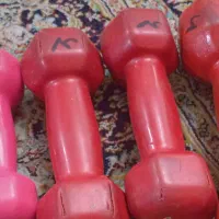 دمبل ورزشی|تجهیزات ورزشی|تهران, کرمان|دیوار