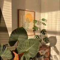 اجاره اتاق در دفترکار اشتراکی