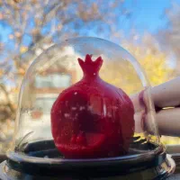 کارگر برای میوه فروشی