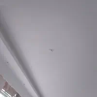 گچکاری|خدمات پیشه و مهارت|بجنورد, |دیوار