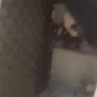 لبه چسبان ۵ ایستگاه توکل|ماشین‌آلات صنعتی|شیراز, شهرک گلها|دیوار