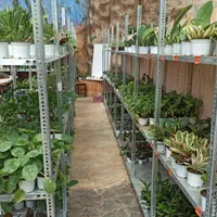 قفسه طرح قدیمی پیچ و مهره ای طوسی