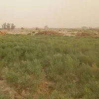 خار