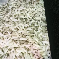 فروش برنج