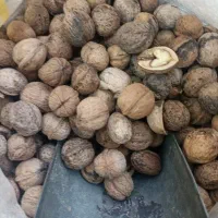 گردو 268 تومن