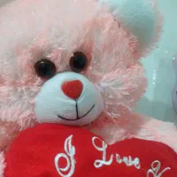 عروسک خرسی بزرگ