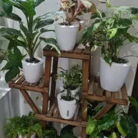 کود و گلدان هیدروپونیک