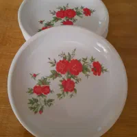 ظروف غذاخوری.  استیل هم دارم.