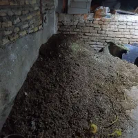 ۳ نیسان کود گوسفند و اسب رایگان هرکی خواست درخدمتم