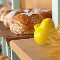 آموزش پخت نان حجیم تست و ساندویچی