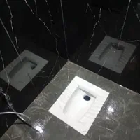 نشت یابی سرویس های بهداشتی حمام توالت با دستگاه