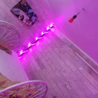 مجردی زیرزمین مسکونی