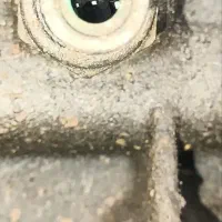 تعمیر سرپلوس و دیسک وصفحه