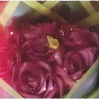 گل ربانی|گل مصنوعی|کرمان, |دیوار