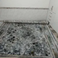 قالی 700شانه خشک|فرش|جوانرود, |دیوار