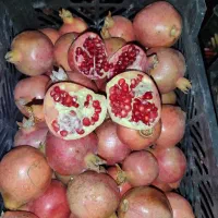 انار|خوردنی و آشامیدنی|داراب, |دیوار