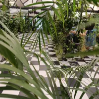 جذب پرسنل- کافه و رستوران دوک|استخدام خدمات فروشگاه و رستوران|رشت, گلسار|دیوار