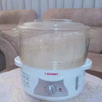 بخار پز