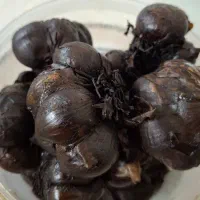 سیر ترشی ۷ ساله