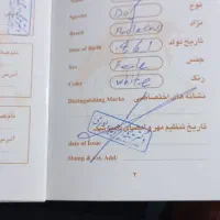 سگ آپارتمانی پودل|سگ|ری, حمزهآباد|دیوار