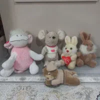 ۵ عدد عروسک سالم ونو فقط یکیش استفادا