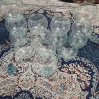 تنگ ماهی