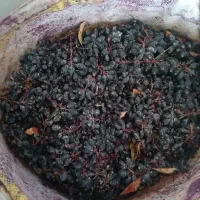 زرشک وآب زرشک کوهی تازه غلیظ وباکیفیت|خوردنی و آشامیدنی|سمنان, |دیوار