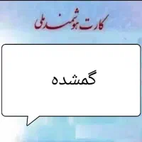 جا کارتی آبی رنگ گمشده همراه کارت ملی (مژدگانی)