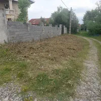 هرس کردن علف و باغ ملک ...|خدمات باغبانی و درختکاری|سنگر, |دیوار