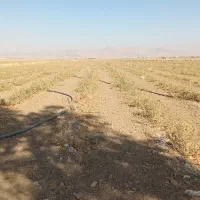 اجاره زمین|اجارهٔ دفتر صنعتی، کشاورزی، تجاری|سامن, |دیوار