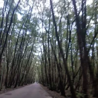 دورهمی خانواده وجمع خانم ها