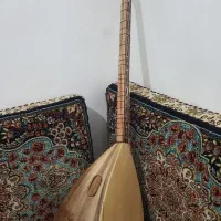 ساز دیوان دسته بلند|سازهای سنتی|سنندج, |دیوار