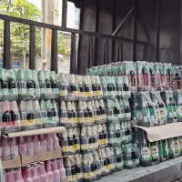 دلستر بهنوش