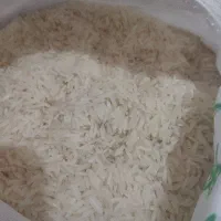برنج فجر