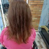 مدل برای تمامی لاین ها