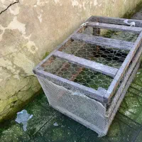 فروش قفس مرغ و بخاری و تختخواب یک نفره|بخاری، هیتر، شومینه|رشت, کاکتوس|دیوار