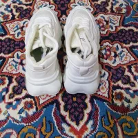 کفش نو شماره40