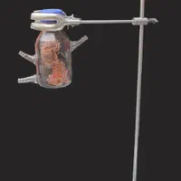 ویگرو مزور ریجنت باتل شیلنگ توری مسی