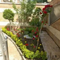 خدمات باغبانی درختکاری گلکاری چمنکاری ب صورت اصولی