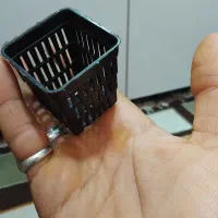 گلدان پلاستیکی آکواریومی