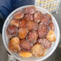 خرما صادراتی جنوب|خوردنی و آشامیدنی|تهران, مولوی|دیوار